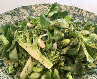 Vårkänslor - Sallad med broccoli och machésallad