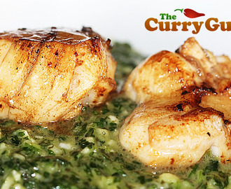Pan Seared Scallops With A Coriander and Mint Sauce