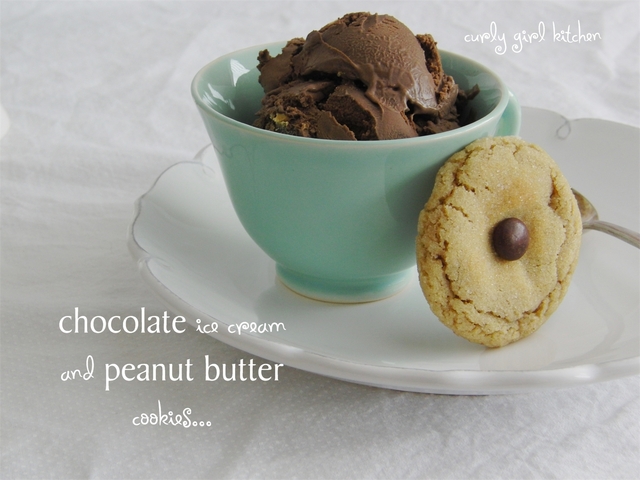 Chocolate Ice Cream and Peanut Butter Cookies