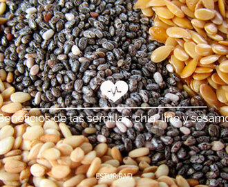 Beneficios de las semillas: chía, lino y sésamo