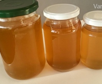 Púpavový med (fotopostup)