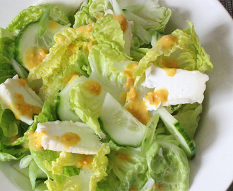 Frisse zomerse salade met inca bes dressing