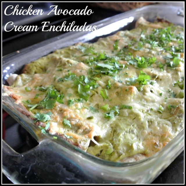 Chicken Avocado Cream Enchiladas