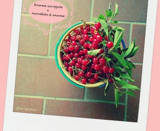 Amarene sciroppate e marmellata di amarene  • Sour cherries in syrup and jam