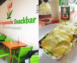 Den Haag: Vegetarische Snackbar,  Veggies on Fire en Veggie4u