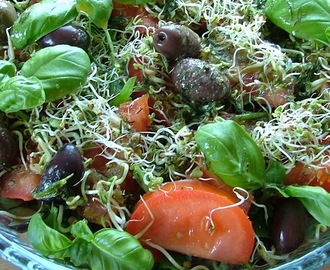 Salat med spirer,  tomat og basilikum