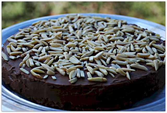 Baking Partners: Chocolate Almond Cake