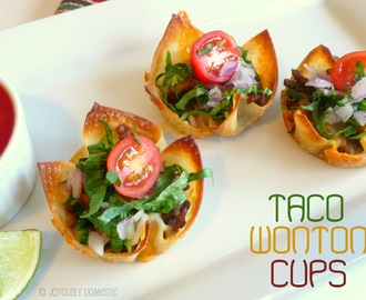 Fiesta Taco Wonton Cups