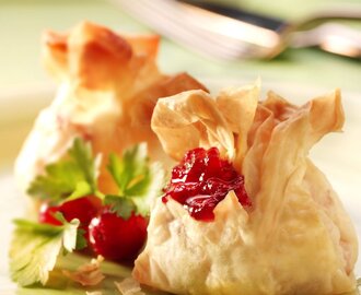 Party Food Recipe : Cranberry Cheese Parcels