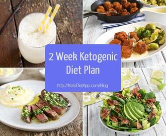 2 Week Ketogenic Diet Plan