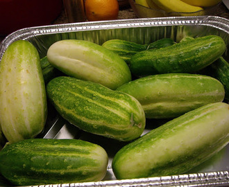 Relish the Thought of Overgrown Cucumbers (or How I lost my Home Canning Virginity!)
