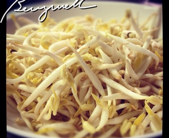 Cooking Bean Sprouts with Beans