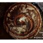 tartine-bread.blogspot.com