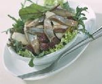 Lunchsalade met haring en bietjes