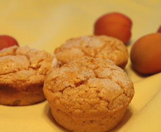 fresh apricot muffins