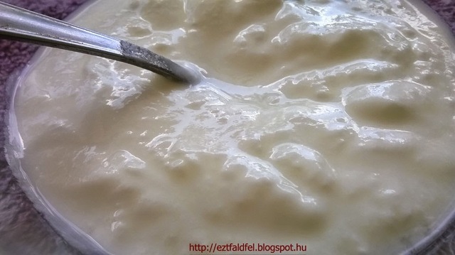 Joghurt készítése házilag - házi joghurt boltiból