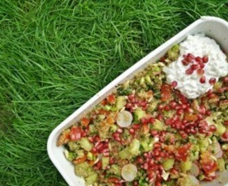 RECEPT: quinoasalade met gegrilde halloumi en Griekse yoghurt
