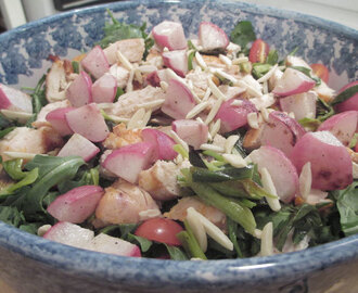 Grilled Chicken, Green Onion and Radish Salad