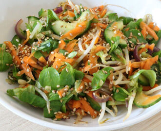 Makkelijke meeneem lunch: Eenvoudige Oosterse Salade