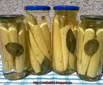 Ecetes bébikukorica - savanyított kukorica
