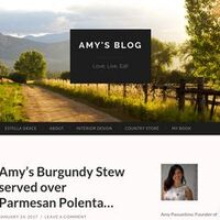 Amy's Food Blog