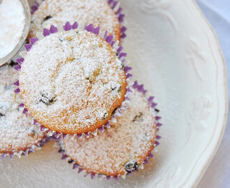 Blueberry (Billberry) Ricotta Muffins