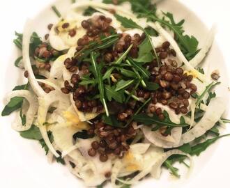 Salade van Puy linzen, venkel en rucola