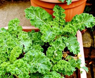 Supergreen Kale and Pistachio Pesto {vegan}