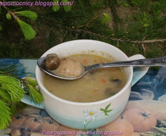 Zupa grzybowa ze świeżych grzybów