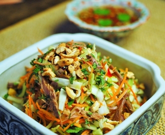 Vietnamese salade met eend – Goi Vit