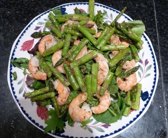 Guest Post! Shrimp and Asparagus Salad