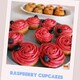 Muffins und cupcakes