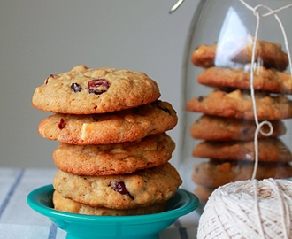 Dried Cranberry White Chocolate Spice Cookie