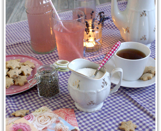 Lavender picnic / Piknik s sivko