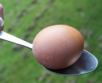 Ilman kananmunia keittiössä - Osa 1: Mihin kanamunia tarvitaan ja vaihtoehtoja milloin ne voidaan jättää pois kokkaamisessa/leivonnassa