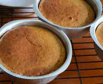 Eggless Condensed Milk Vanilla Cake – Perfect For Carving