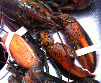 How to Make Lobsters – Father’s Day