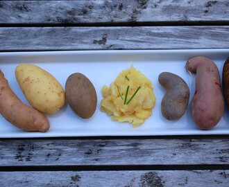 Echter Schwäbischer Kartoffelsalat mit Essig & Öl ist eine himmlisch!