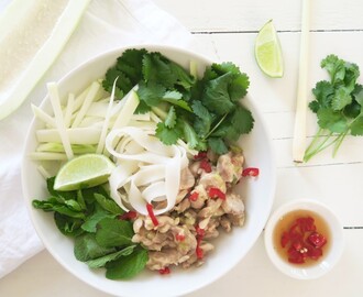 Thaise rijstnoedel salade met geweldig gemarineerde kip en groene papaya