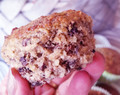 Suklaahippu muffins (sokeriton, gluteeniton)