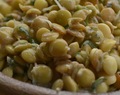 Salada de lentilha germinada (vegan)