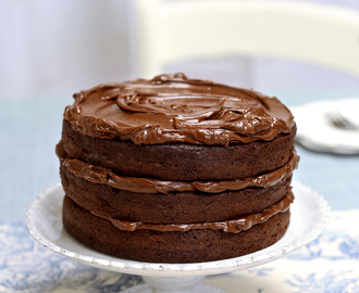 Ultimate chocolate fudge layer cake