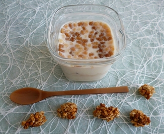 yaourts maison aux pépites de céréales protéinées miel-pomme-coco à seulement 75 kcal (diététiques et riches en fibres)