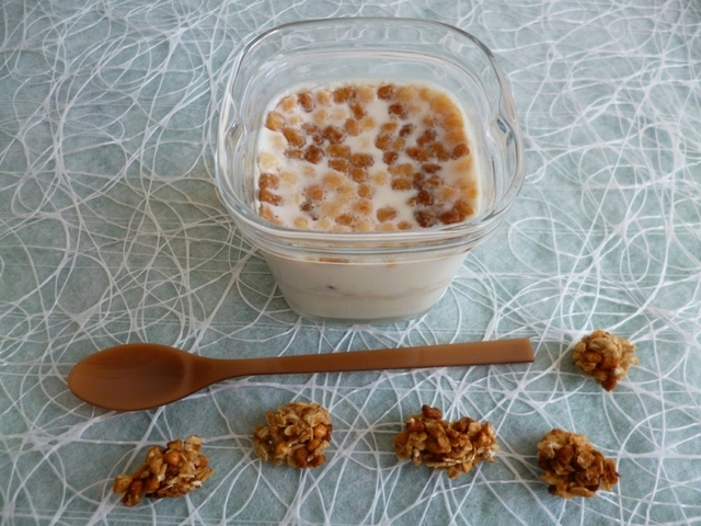 yaourts maison aux pépites de céréales protéinées miel-pomme-coco à seulement 75 kcal (diététiques et riches en fibres)