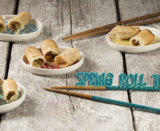 Chicken Spring Rolls: Recipe & Tutorial