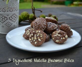3 Ingredient Fudgy Nutella Brownie Bites – Secret Recipe Club