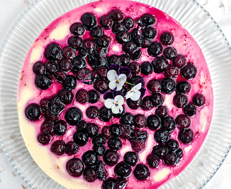 No-Bake Blueberry Lime Cheesecake and Step by Step Desserts book giveaway