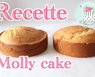 les bases du cake design: la recette facile du molly cake