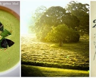 Grön soppa med sång - Broccolisoppa
