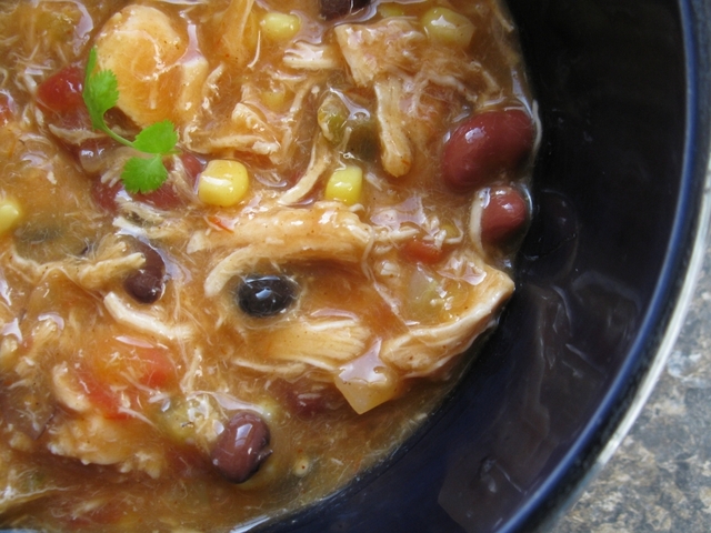 Chicken Tortilla Soup from the Poodle Skirt Slayers